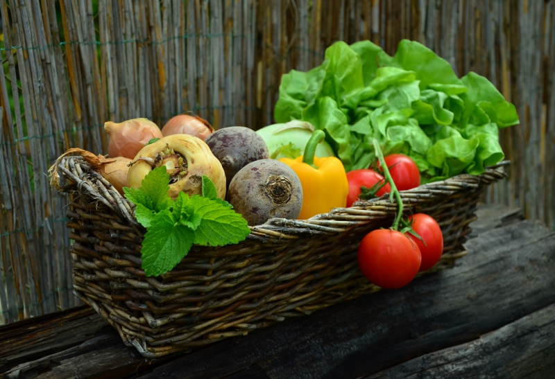 traiteur-ST MANDRIER SUR MER-min_plant-fruit-food-salad-harvest-produce-879579-pxhere.com